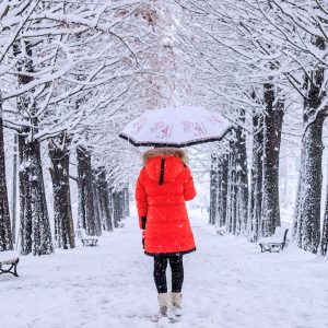 6D4N Korea Special Winter (Flexi)