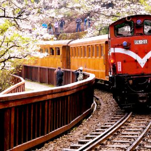 5D4N Taipei + Alishan + Sun Moon Lake (Taiwan)