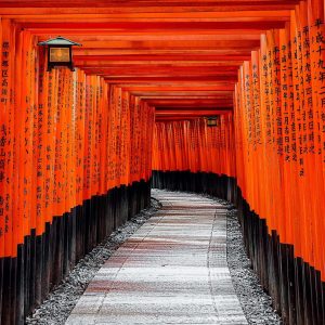 6D4N Osaka + Kyoto + Nara (Japan)