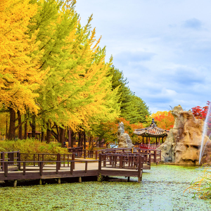 6D4N Korea Special Autumn (Korea)