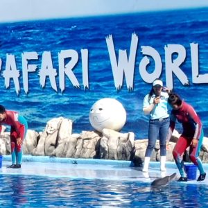 5D4N Bangkok + Safari World & Marine Park (Thailand)