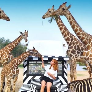 5D4N Bangkok + Kanchanaburi (Thailand)