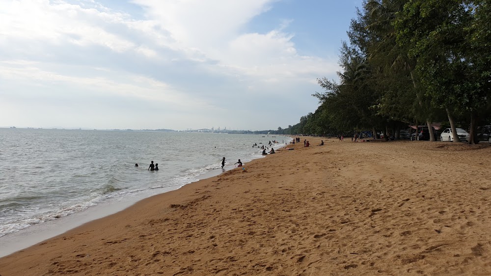 Padang Kemunting Turtle Management Centre, one of free places to visit in Melaka